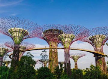 singapore/marina-bay/landmark/marina-bay-sands-garden-park