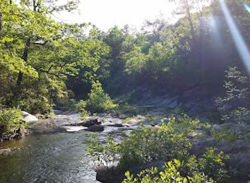 alabama/cheaha-state-park/landmark/cheaha-wilderness