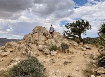 california/joshua-tree/landmark/hi-view-trailhead