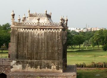 india/hyderabad/landmark/hatiyan-jhad-baobab-tree