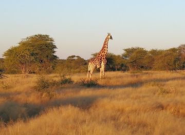 namibia/etosha-national-park/landmark/okonjima-nature-reserve