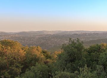 jordan/ajloun-forest-reserve/landmark/ajloun-reserve
