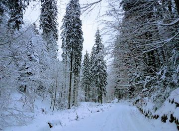 romania/poiana-brasov/landmark/poiana-nisipului