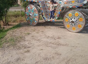 pakistan/multan/landmark/sadiq-ali-shehzad-art-gallery