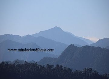 ecuador/mindo-cloud-forest/landmark/mindo-cloudforest-tours