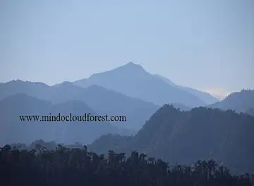 Mindo cloudforest tours