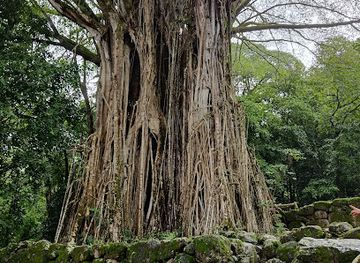 french-polynesia/marquesas-islands/landmark/ensemble-tahakia-kamuihei-teiipoka