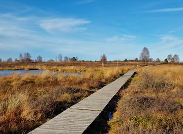 belgium/hautes-fagnes/landmark/fagne-de-brackvenn