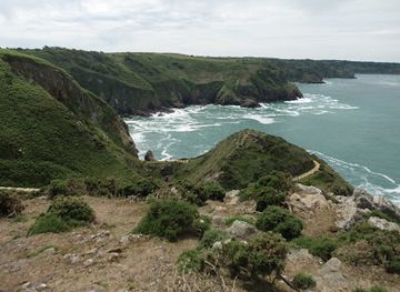 jersey/st-brelade/landmark/eric-young-orchid-foundation