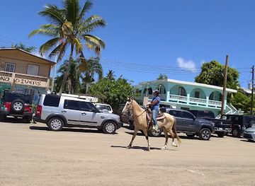 puerto-rico/rincon/landmark/shipwreck