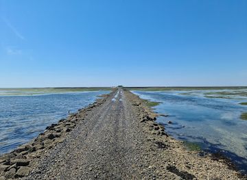 denmark/wadden-sea-national-park/landmark/schleswig-holstein-wadden-sea-national-park