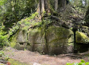 new-zealand/hawke-s-bay/landmark/kaimanawa-wall