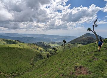 rwanda/byumba/landmark/gishwati-mukura-national-park-and-biosphere-reserve