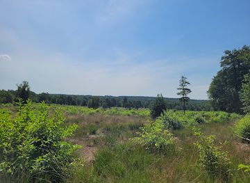 netherlands/betuwe/landmark/schenkenshul