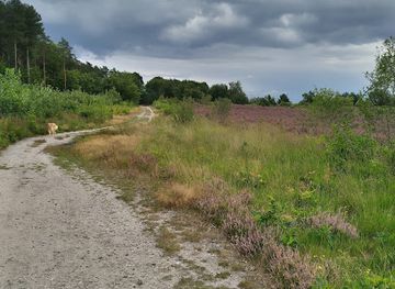 belgium/genk/landmark/natuurgebied-schemmersberg