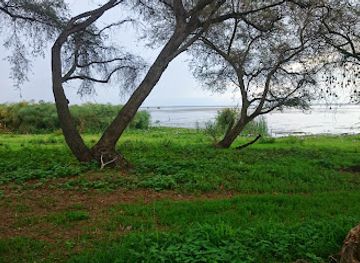 zambia/blue-lagoon-national-park/landmark/lochinvar-national-park