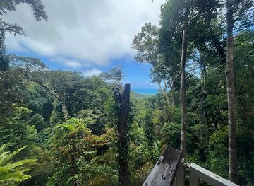 australia/cape-tribulation/landmark/treetops-adventure-cape-tribulation