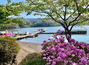 japan/izu/landmark/lake-ippeki
