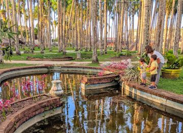 Palmtree Garden