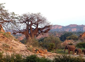 botswana/maun/landmark/fine-bush-tours