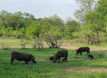 malawi/majete-wildlife-reserve/landmark/majete-wildlife-reserve-and-african-parks-head-quarters