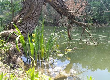 hungary/gyor/landmark/gyori-holtag-hod-var