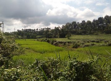 bangladesh/sylhet/landmark/lakkatura