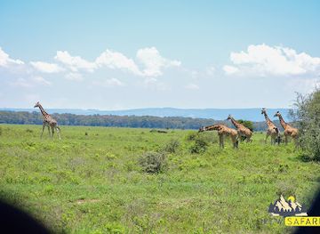 kenya/lake-nakuru-national-park/landmark/baboon-cliff-view-point
