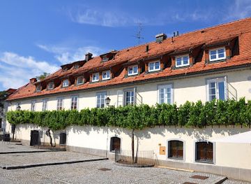 slovenia/maribor/stara-trta/landmark/hisa-stare-trte