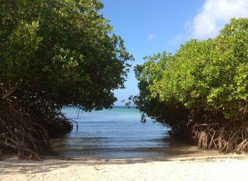 aruba/natural-pool/landmark/spanish-lagoon