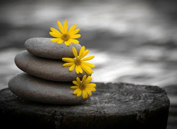 north-dakota/wahpeton/landmark/listening-hands-massage-llc