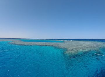 egypt/safaga/landmark/ducks-diving
