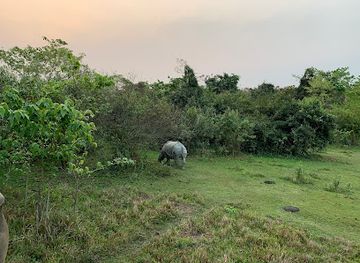 india/kaziranga-national-park/landmark/kaziranga-elephant-safari-point-1