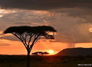 tanzania/kilimanjaro-region/landmark/zafs-tours