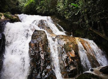 malaysia/cameron-highlands/landmark/robinson-falls