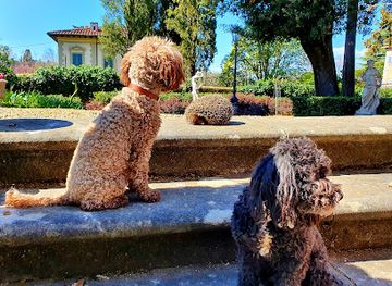 italy/valdarno/landmark/villa-nardi-residenza-d-epoca