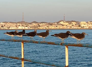 oman/masirah-island/landmark/masirah-view