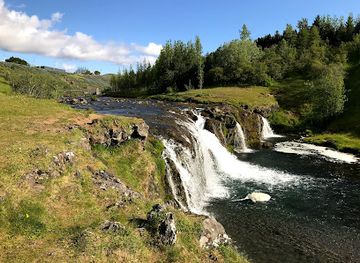 iceland/hveragerði/landmark/hverageroi-public-park
