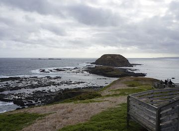 australia/gippsland/landmark/the-nobbies