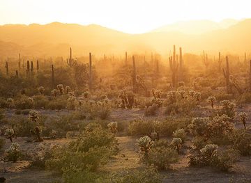arizona/red-rock-country/landmark/sonoran-desert-national-monument