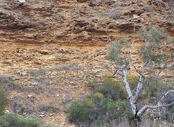 australia/riverland/landmark/four-knots-murray-river-cruises