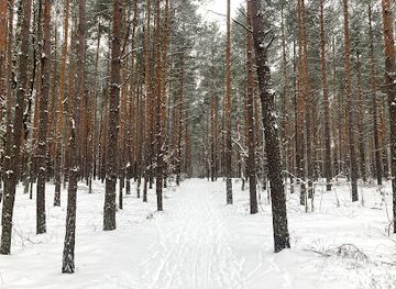 poland/masovia/landmark/las-mlocinski