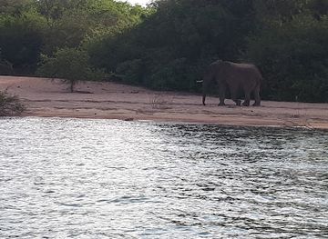 zambia/south-luangwa-national-park/landmark/nsumbu-national-park