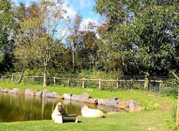 united-kingdom/pembrokeshire/attraction/folly-farm-adventure-park-and-zoo-2