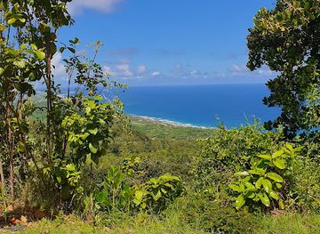 barbados/saint-thomas/landmark/peg-farm-and-nature-reserve