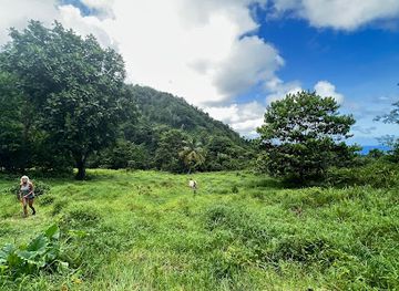 dominica/dominica-botanic-gardens/landmark/sari-sari-waterfall