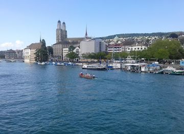 switzerland/zurich/enge/landmark/rieterpark