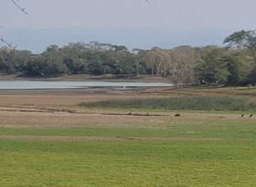 south-africa/bushveld/landmark/ndumo-game-reserve