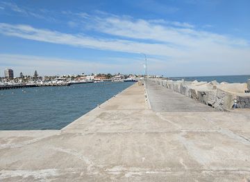 uruguay/metropolitan-area/landmark/puerto-de-punta-del-este