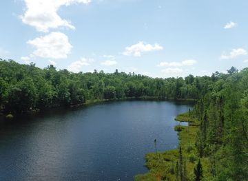 wisconsin/northwoods/landmark/northwoods-zip-line-adventure-tours